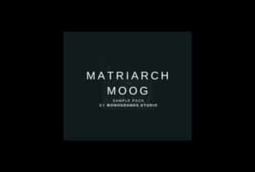 Free Moog Matriarch Samples Vol.2